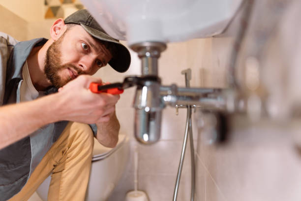 Best Plumbing Inspection Services  in Port Barrington, IL
