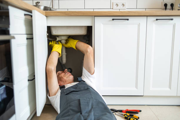 Best Local Plumber Services  in Port Barrington, IL