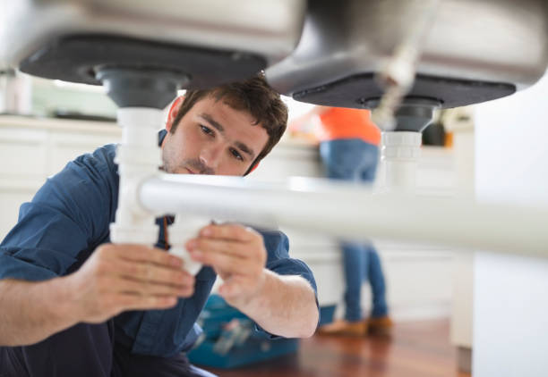 Best Affordable Plumbing Services  in Port Barrington, IL